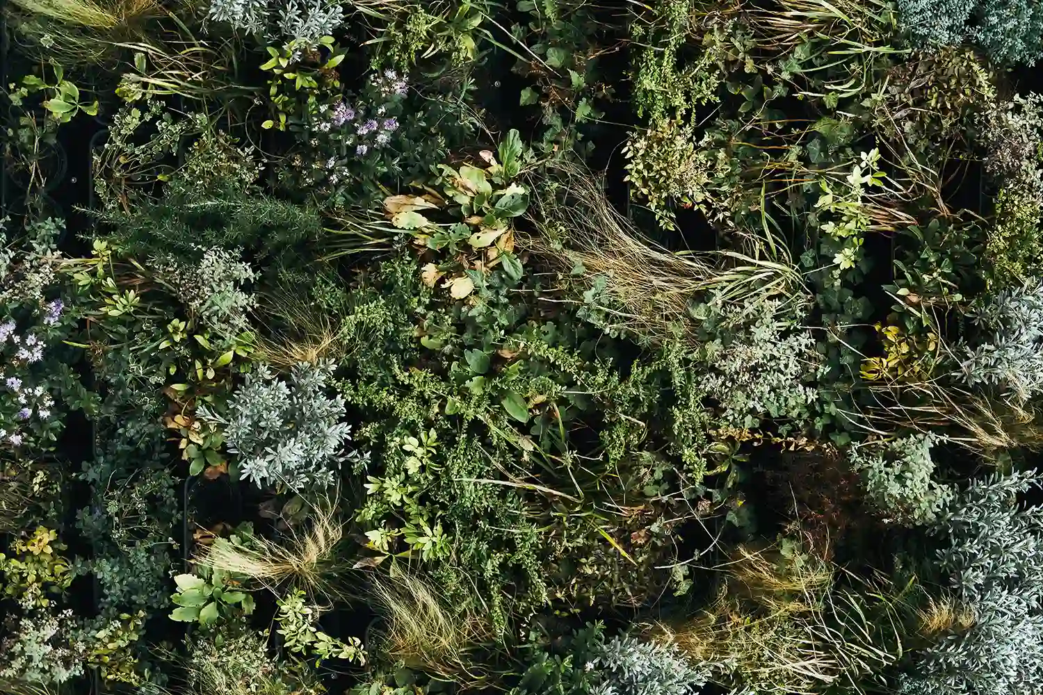 ofertas viaje checa guadalajara hotel